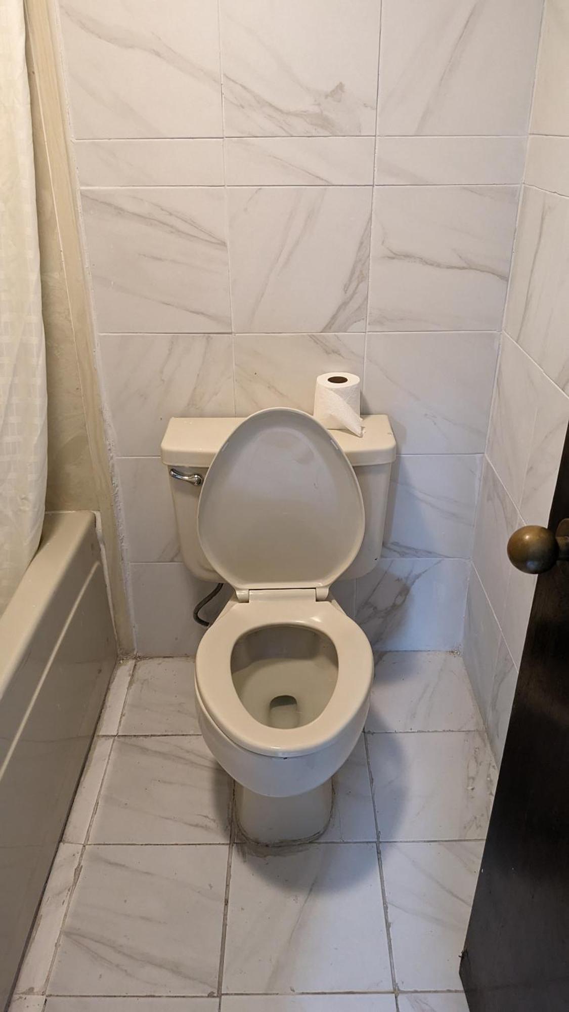 Edelweiss Inn ניו בראונפלס מראה חיצוני תמונה