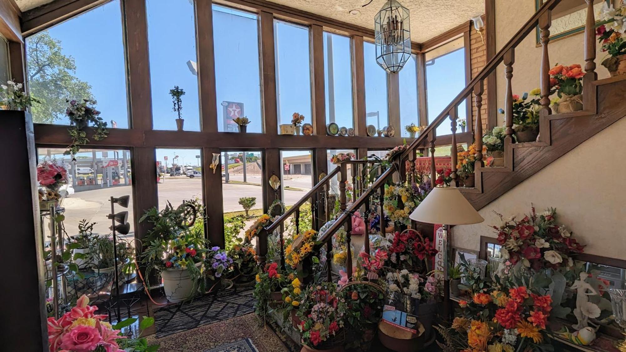 Edelweiss Inn ניו בראונפלס מראה חיצוני תמונה