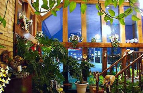 Edelweiss Inn ניו בראונפלס מראה חיצוני תמונה